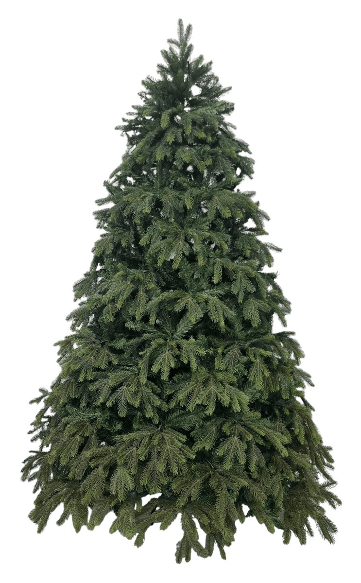 270სმ მწვანე ნაძვის ხე სილიკონის ტოტებით